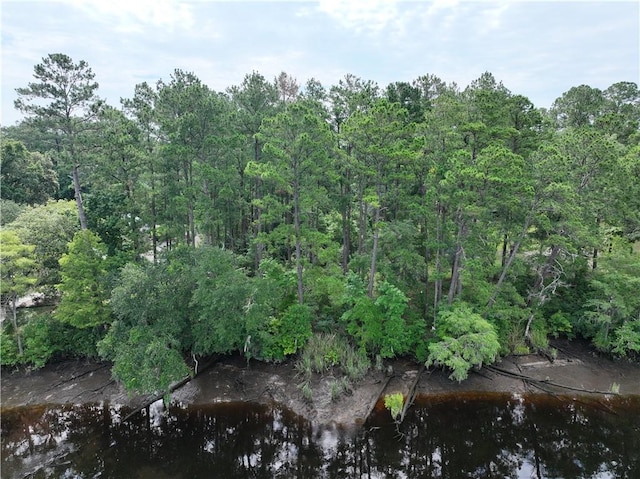 0 Incachee Ct, Woodbine, GA 31569