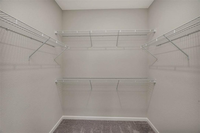 spacious closet with carpet floors