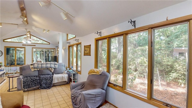living area with track lighting, lofted ceiling, and plenty of natural light