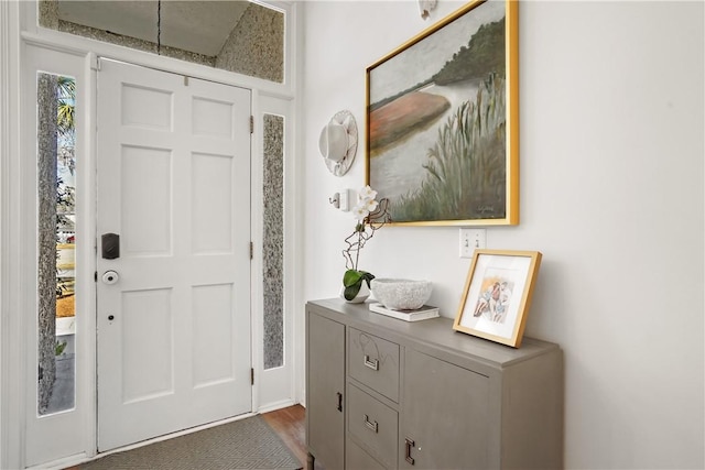 foyer featuring dark wood-type flooring