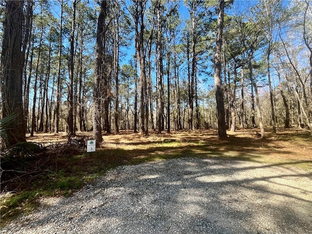 Listing photo 2 for LOT3 Osprey Cv, Darien GA 31305