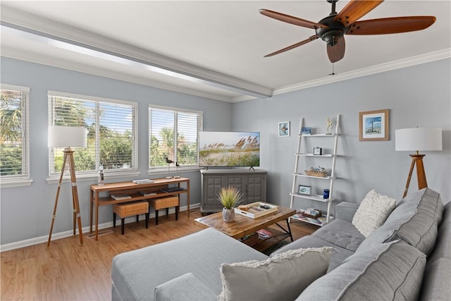 living room with ceiling fan, crown molding, and light hardwood / wood-style flooring