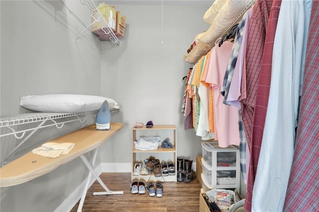 spacious closet featuring wood-type flooring