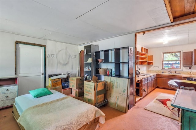 bedroom featuring sink