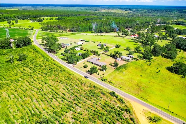 1886 Craven Rd, Baxley, GA 31513 - photo 5