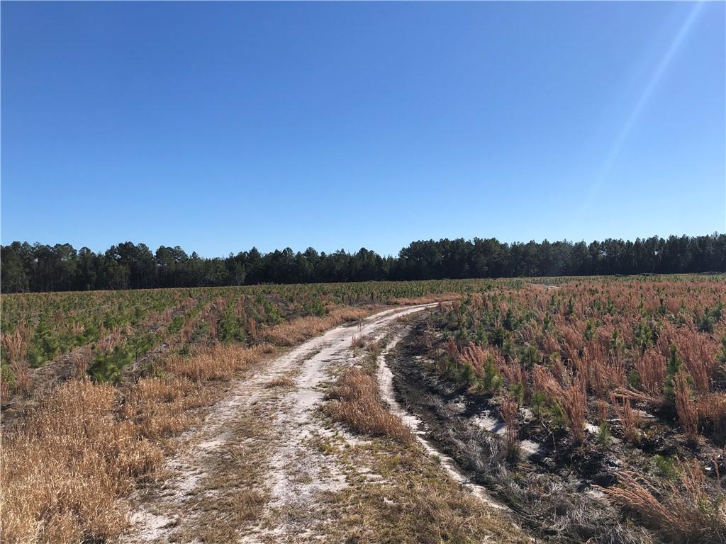 0 Winokur Rock Rd, Folkston, GA 31537 - photo 1