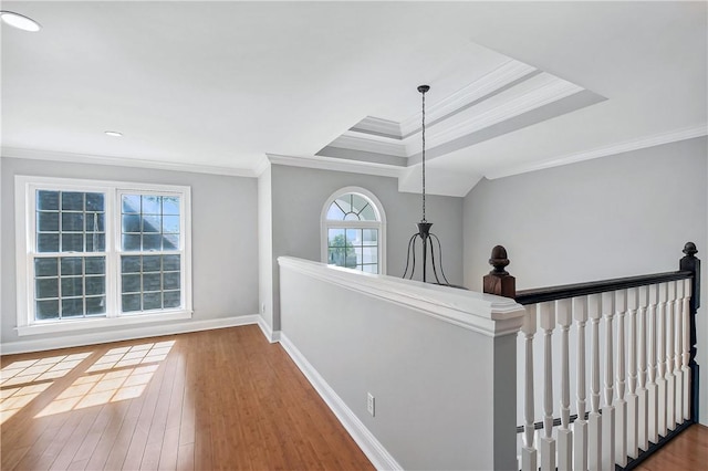 corridor featuring hardwood / wood-style flooring and crown molding