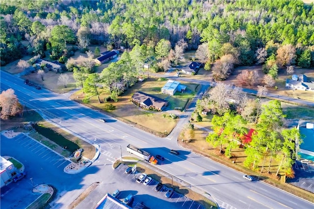 drone / aerial view