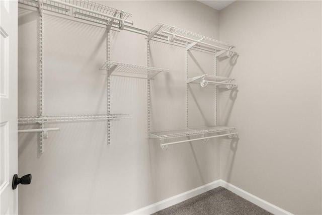 4432 Pembers Rd, Nahunta, GA 31553 - spacious closet featuring carpet floors