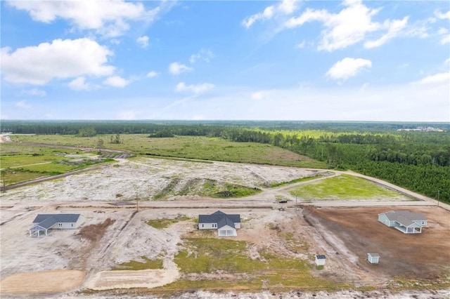 4432 Pembers Rd, Nahunta, GA 31553 - view of rural area with a forest