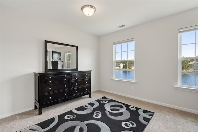 259 Daniel Trent Way, Kingsland, GA 31548 - bedroom featuring light colored carpet and multiple windows