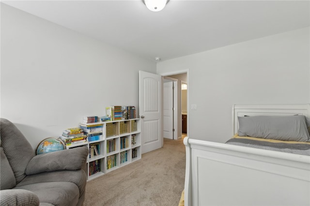 259 Daniel Trent Way, Kingsland, GA 31548 - bedroom with light colored carpet