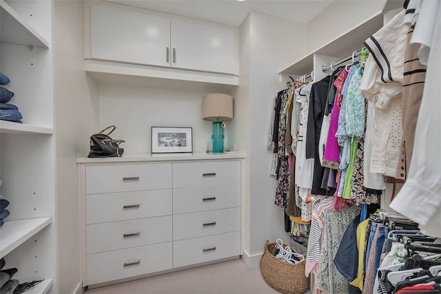 view of spacious closet