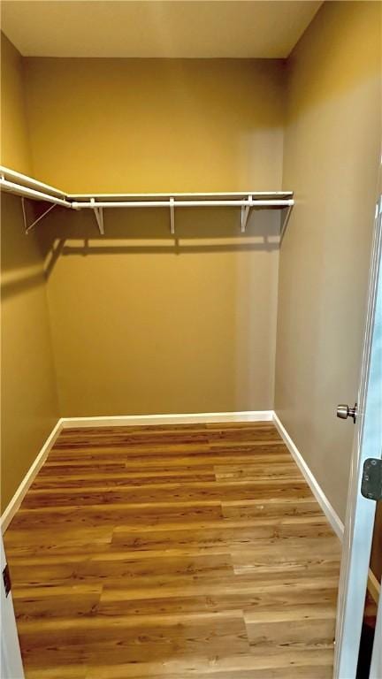 walk in closet featuring wood-type flooring