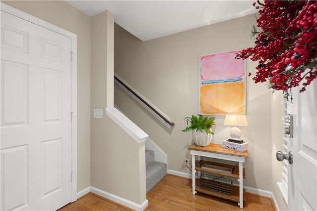 staircase featuring wood-type flooring