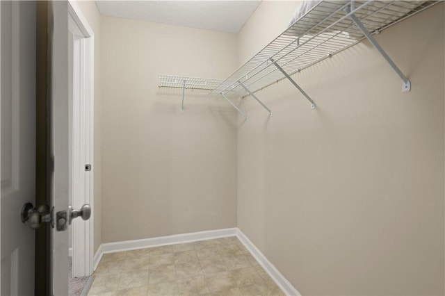 view of walk in closet