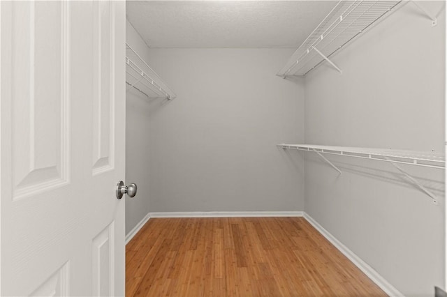 walk in closet featuring light wood-type flooring