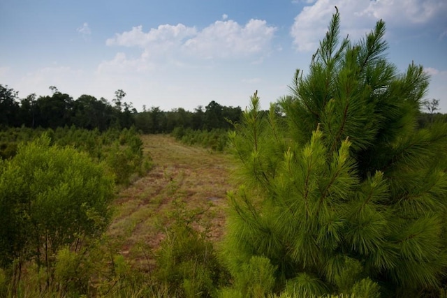 364 Salt Creek Way E, Brunswick, GA 31523 - photo 2