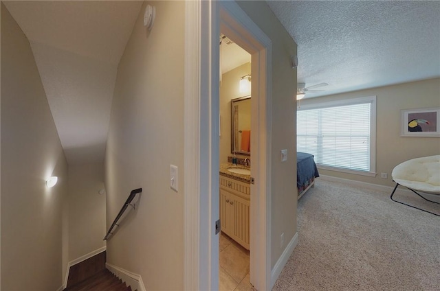 hall featuring light carpet, sink, and a textured ceiling