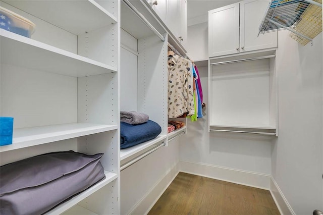 walk in closet featuring dark wood finished floors