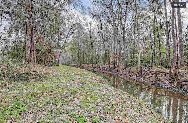 view of yard featuring a forest view