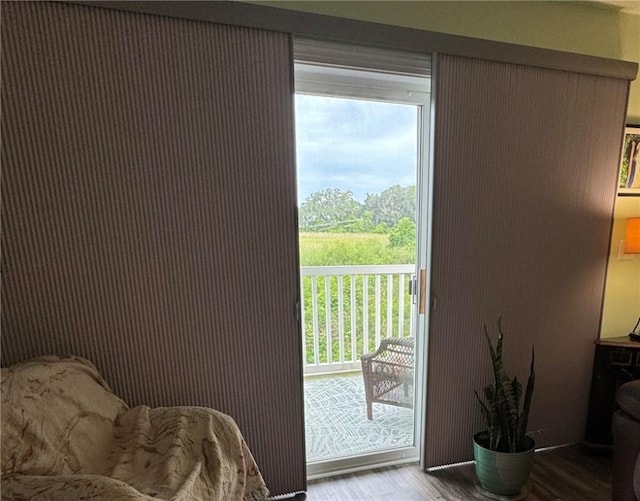 91 Screven St Unit 105, Darien, GA 31305 - doorway featuring wood finished floors and healthy amount of natural light