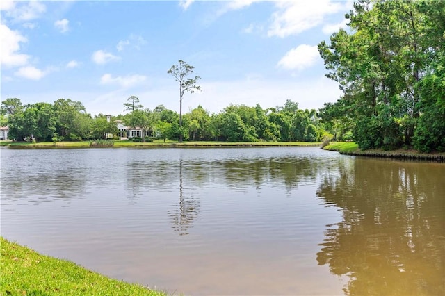 139 Point Ln, Saint Simons Island, GA 31522 - photo 48