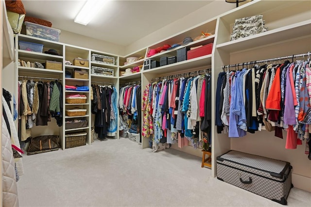 walk in closet featuring carpet flooring