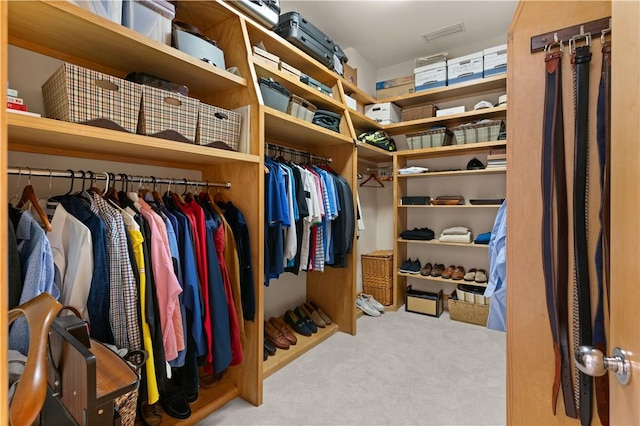 spacious closet featuring light colored carpet