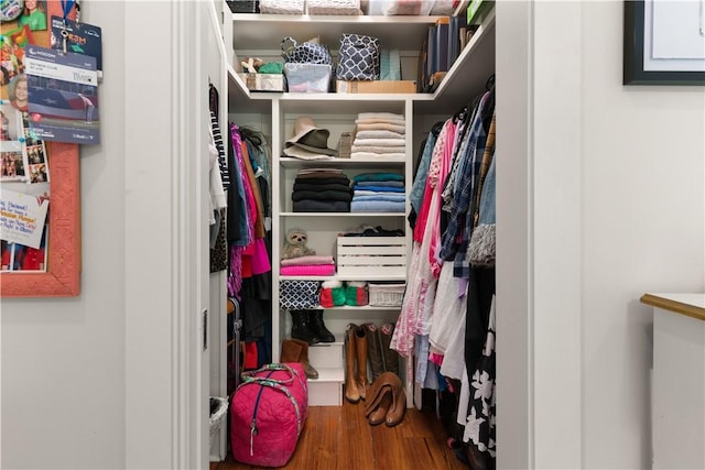 spacious closet featuring hardwood / wood-style flooring