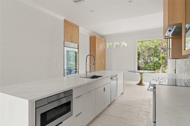 kitchen featuring built in appliances, a sink, a wealth of natural light, and crown molding