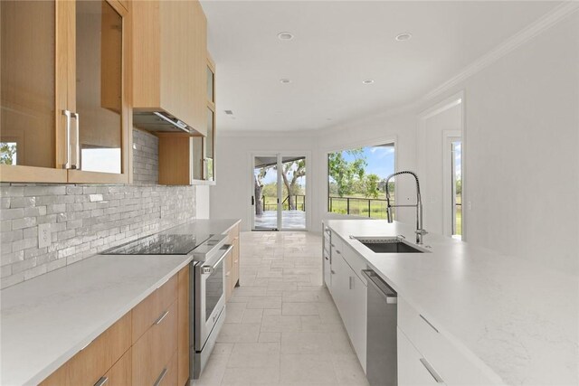 kitchen with stainless steel appliances, a sink, backsplash, modern cabinets, and crown molding