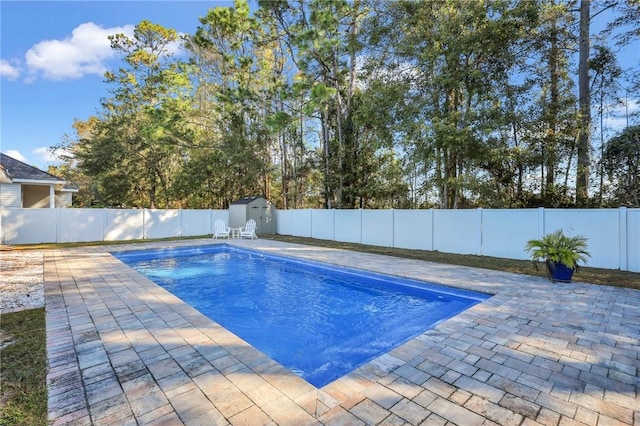 view of swimming pool with a patio and a storage unit