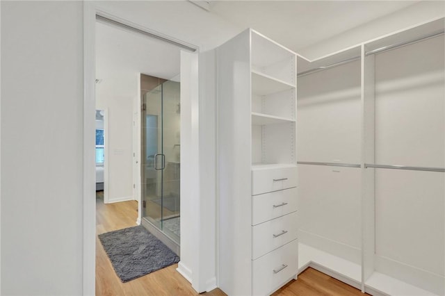 spacious closet featuring wood-type flooring