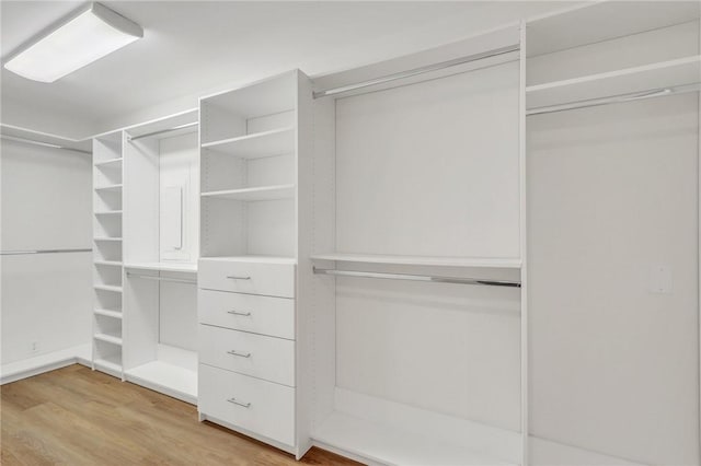 spacious closet with hardwood / wood-style flooring