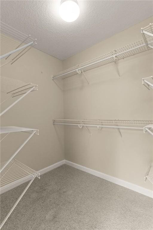 172 Autumns Ridge Ct, Brunswick, GA 31525 - spacious closet featuring carpet flooring