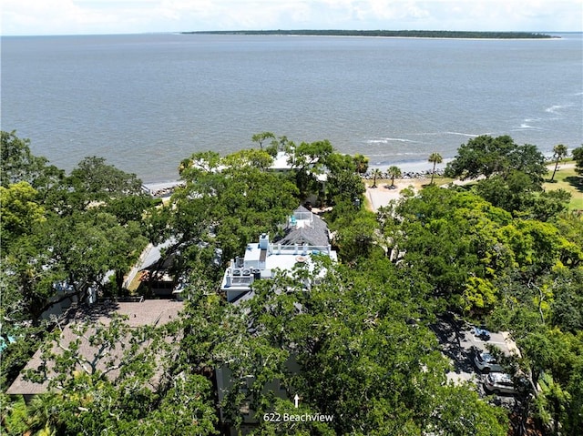 622 Beachview Dr, Saint Simons Island, GA 31522 - view of property location featuring a large body of water