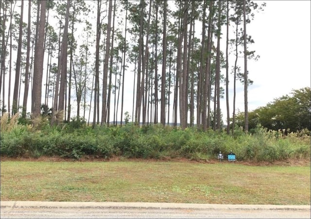 104 Island Estate Lndg, Saint Marys GA, 31558 land for sale