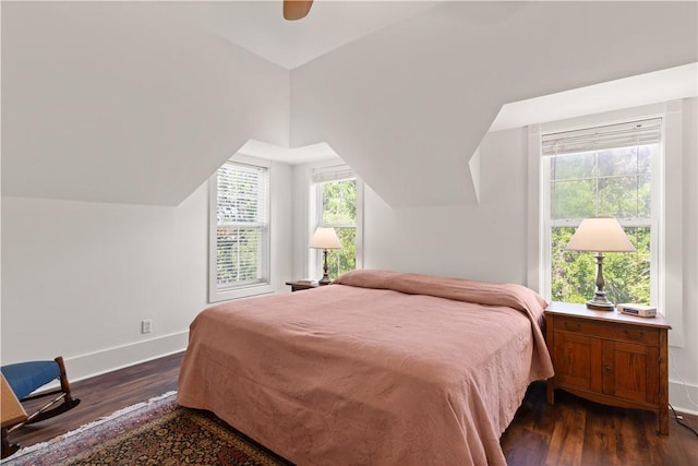 bedroom with baseboards, dark wood finished floors, and multiple windows