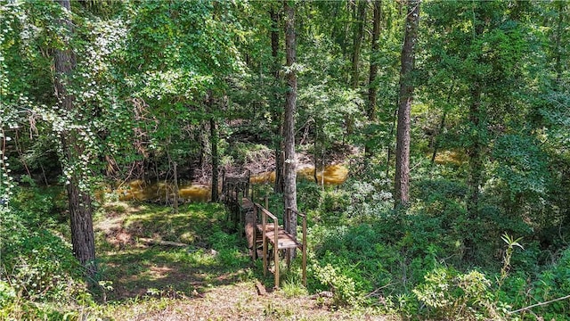 3520 Penhollloway Rd, Jesup, GA 31546 - photo 5