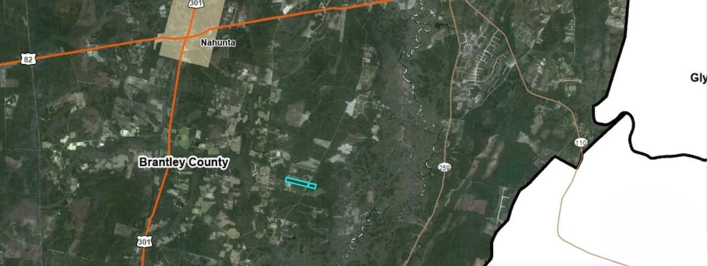 0 Knox Rd, Nahunta, GA 31553