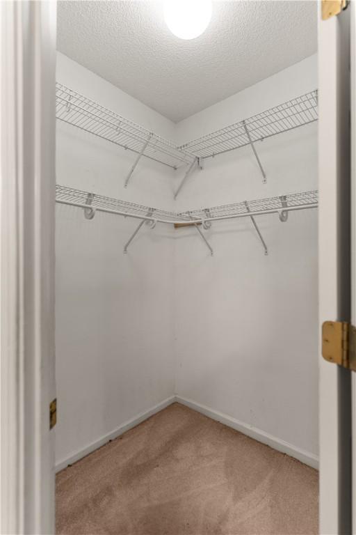 spacious closet featuring carpet