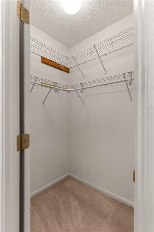 spacious closet featuring carpet