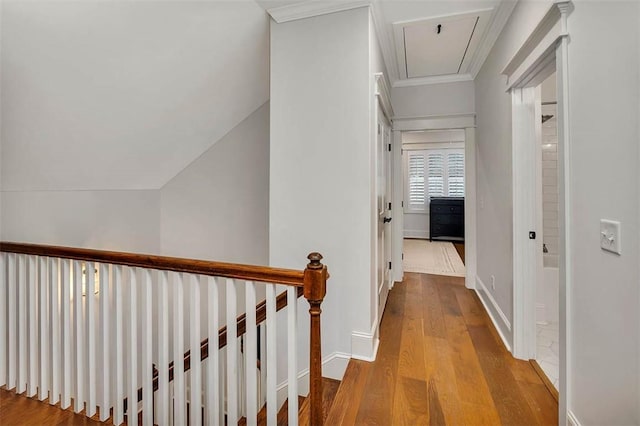 hallway featuring light hardwood / wood-style flooring and ornamental molding