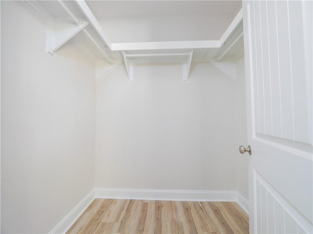 spacious closet featuring light wood-type flooring