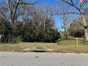 Listing photo 3 for 0 Dewey St, Waycross GA 31501