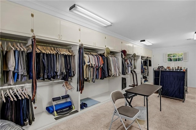 1001 Coral Rd, Waycross, GA 31501 - misc room with light colored carpet
