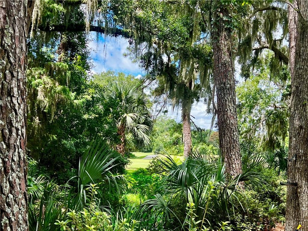 15 Bay Tree Ct W, Saint Simons Island, GA 31522 - photo 3