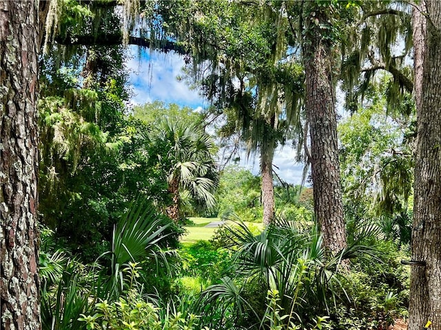 15 Bay Tree Ct W, Saint Simons Island, GA 31522 - photo 3