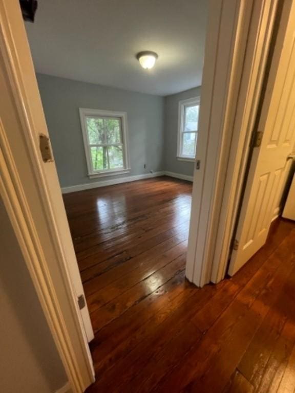 hall with a wealth of natural light and dark wood-type flooring